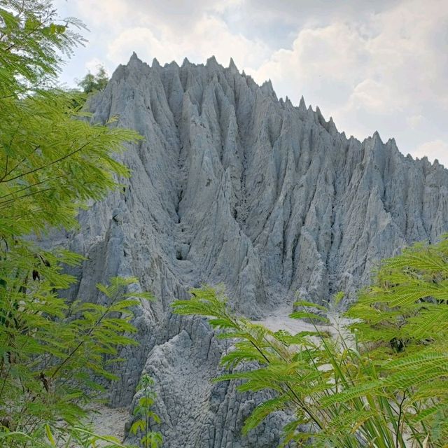 愛琴海岸海景渡假農場