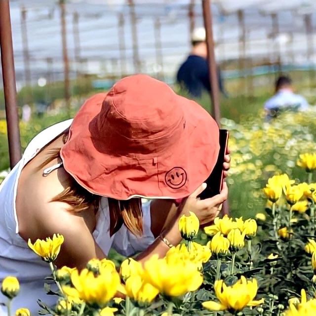 สวนเบญจมาศบิ๊กเต้-สวนบิ๊กเต้ BigTae Garden