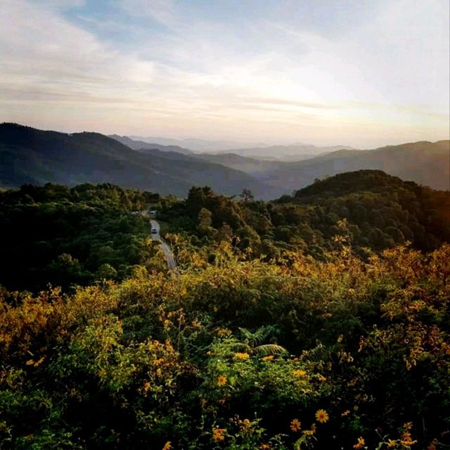 Thing Bua Tong Fields With A View