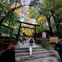 良縁・子宝・学問【野宮神社⛩️】✨