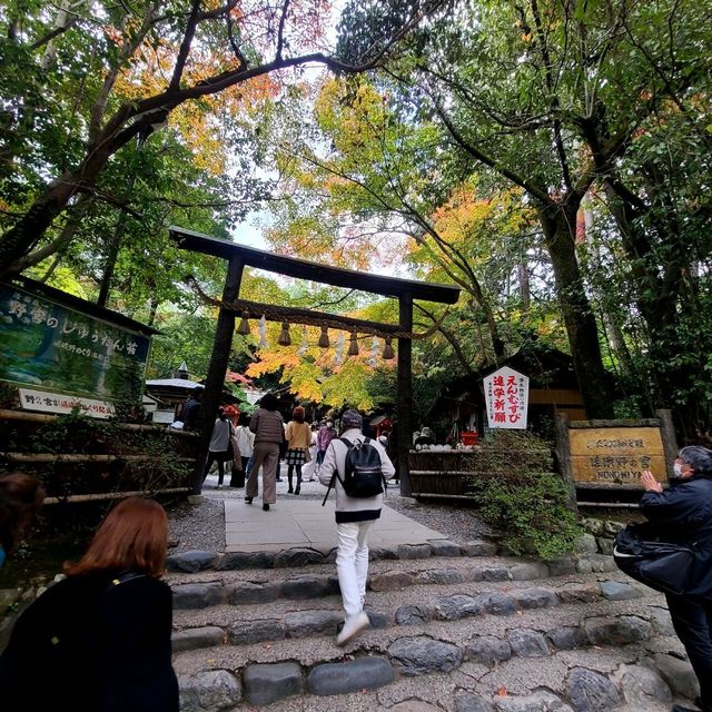 良縁・子宝・学問【野宮神社⛩️】✨