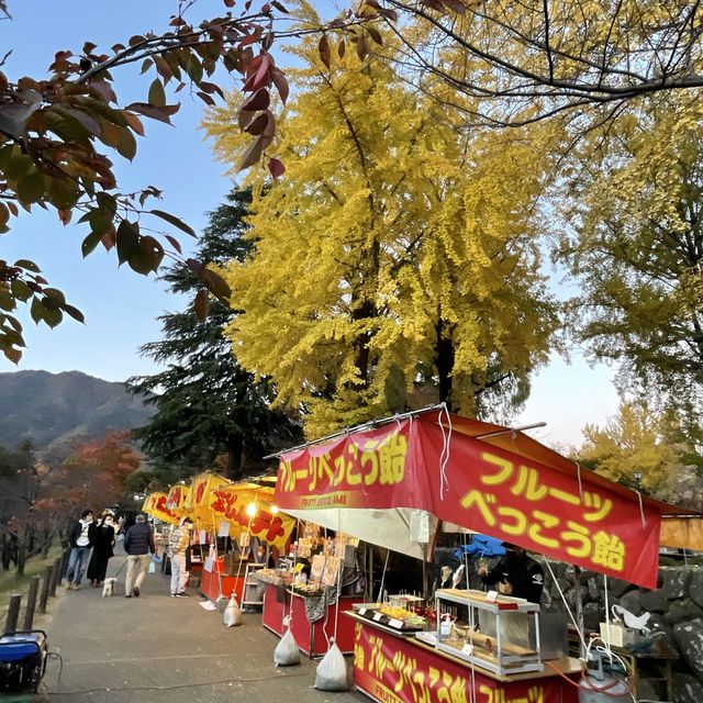 長野県　上田城跡公園