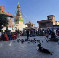 Swayambhunath Stupa (Monkey temple)