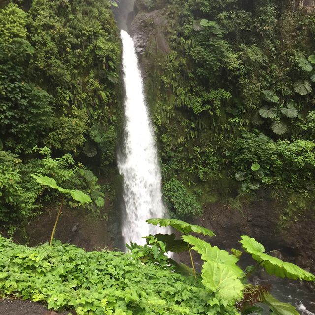 Hiking to see waterfall 