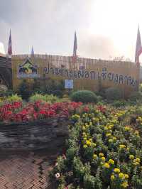 เที่ยวชมช้าง@เชียงคาน🌳