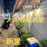 【ソウル・新堂】秘密にしたい大人の隠れ家