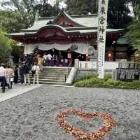 パワースポット✨迫力大の來宮神社（来宮神社）