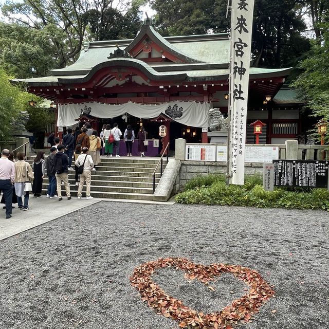 パワースポット✨迫力大の來宮神社（来宮神社）