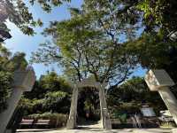 本地遊 | 香港動植物公園 | 必影蝴蝶蘭花廊