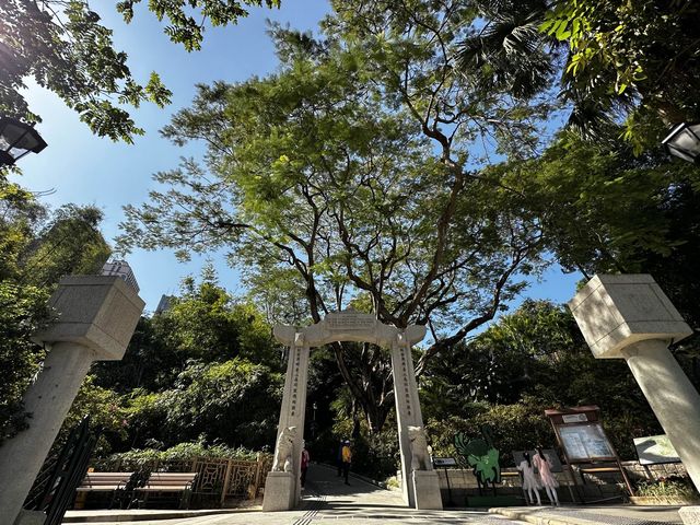 本地遊 | 香港動植物公園 | 必影蝴蝶蘭花廊