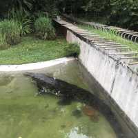 Fun Day at Zoo Negara