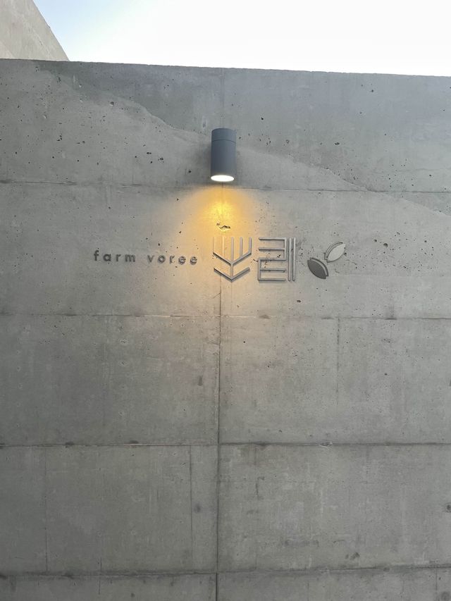 백수해안과 보리밭이 어우러진 영광카페,카페 보리