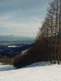 Myoko, My 1st snow experience!