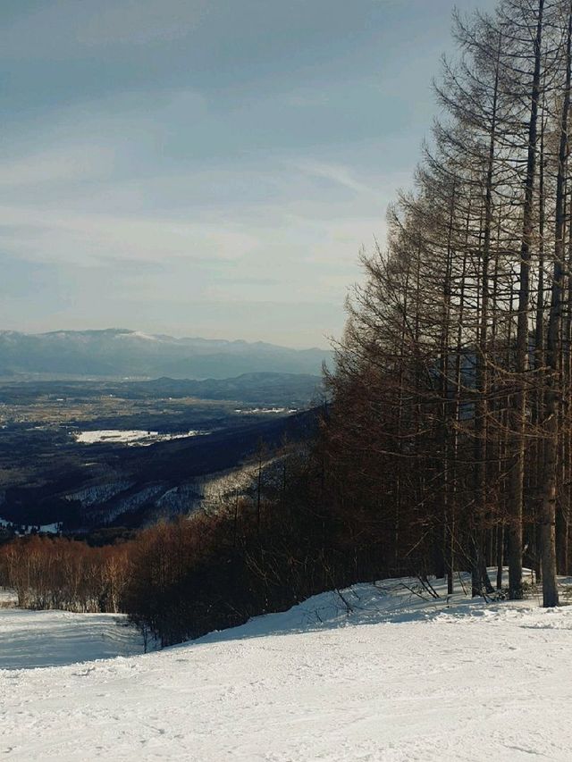 Myoko, My 1st snow experience!