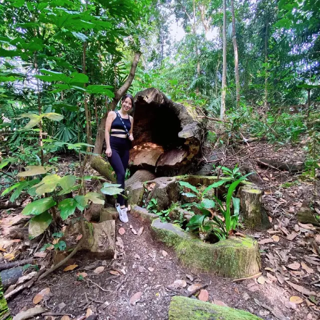 Hiking Dairy Farm Nature Park