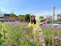 One day trip : วังน้ำเขียว