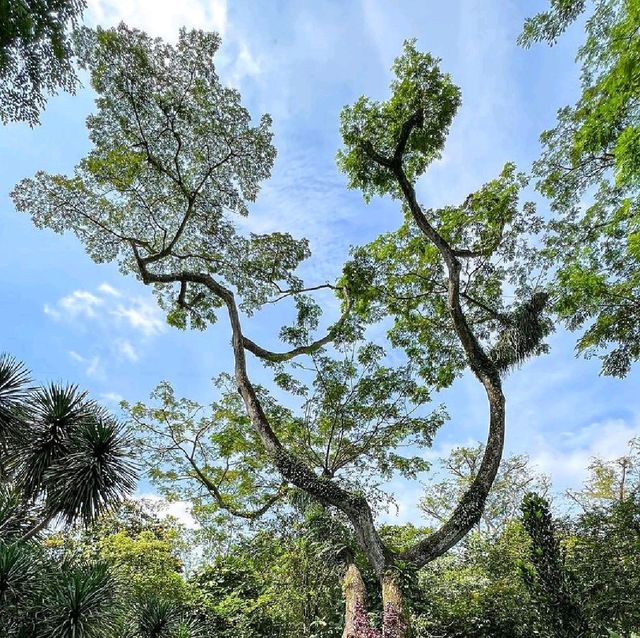 World's First UNESCO Heritage Garden!