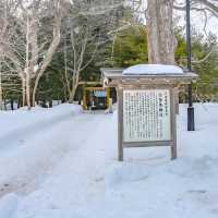 冬の円山公園から北海道神宮にかけて