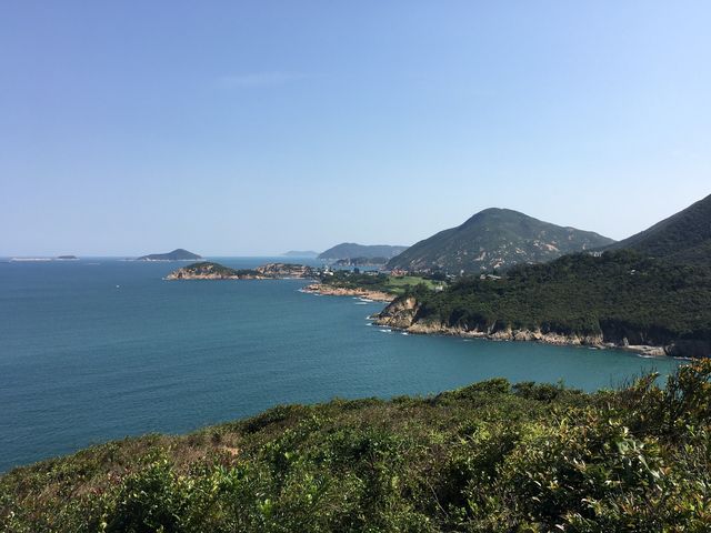 港島劏青蛙