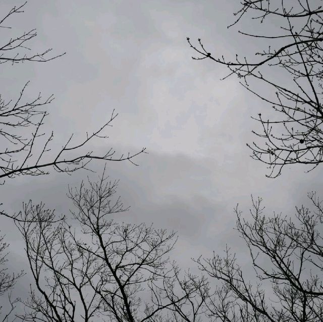 양평 유명산 등산 