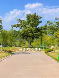 부산 봄나들이 가기 좋은 해운대 수목원 🌿