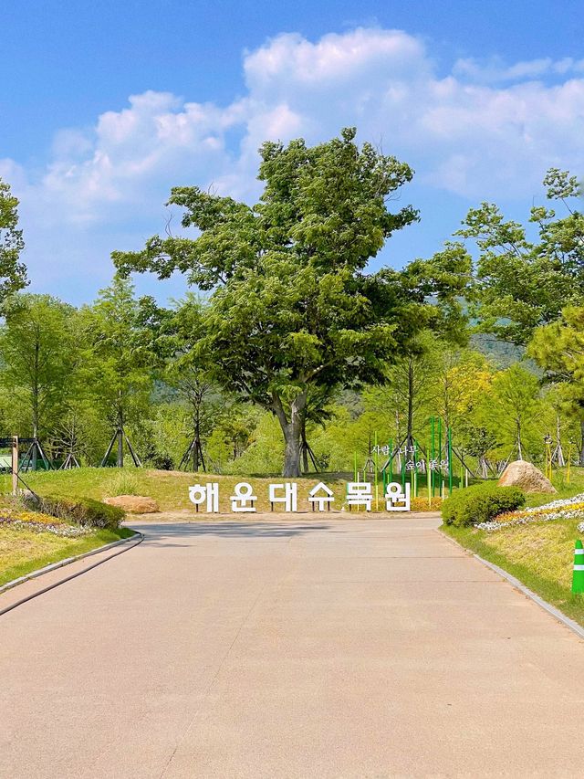부산 봄나들이 가기 좋은 해운대 수목원 🌿
