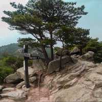 용봉산 등산