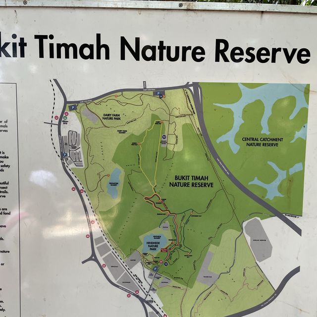 Nature hiking trail to Bukit Timah Hill