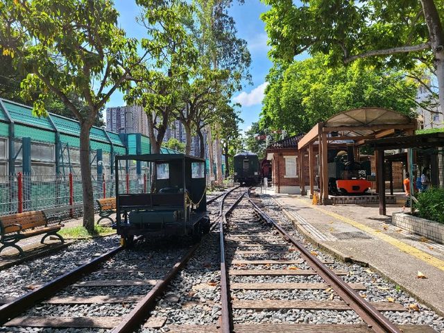 大埔文化遊🚂