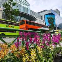 Singapore Garden Festival 2022 @NgeeAnnCity