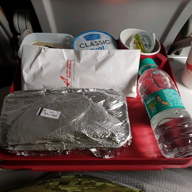 Air India in flight meal.