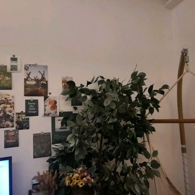 翠雅山房城市綠洲