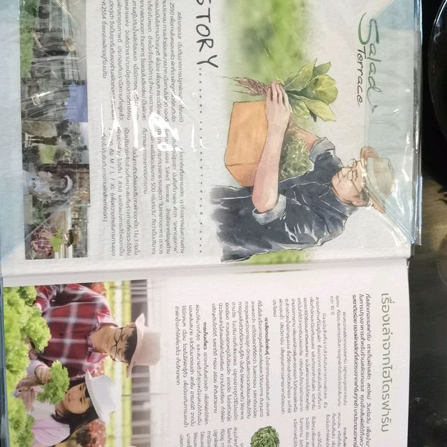 清邁醫護界最推薦既餐廳Salad Terrace