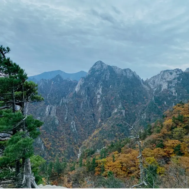 공룡능선