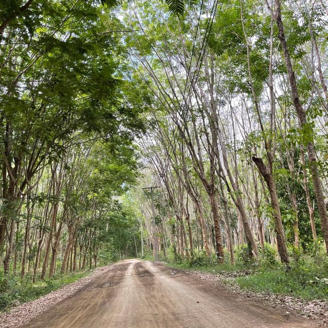 จุดไฮไลท์ที่ต้องแวะบนเกาะลิบง 🏞