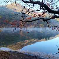 화려한 단풍과 아름다운 가을풍경