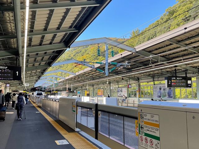 古城のクリスマス開催中🎅ロープウェイで絶景を🫶