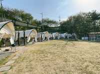 사계절 수영장과 바베큐무제한 🍗 사천 토리 글램핑장🏕️