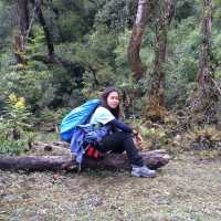 High Up on Mount Fansipan