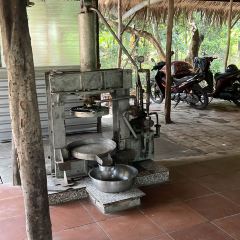 Mekong張用戶圖片