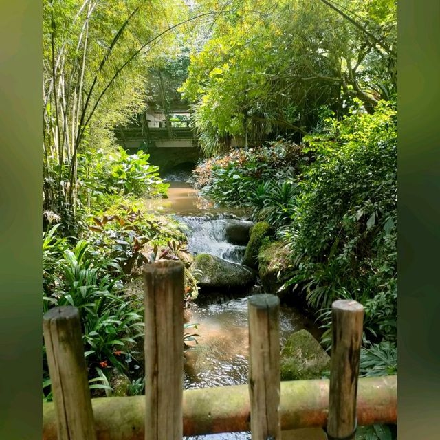 最後機會～新加坡裕廊飛禽公園