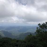桃園 東眼山