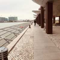Reservoir Park Trails Macau