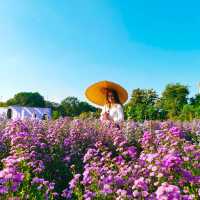 Flower Lovers. CNX | สวนดอกไม้เชียงใหม่​
