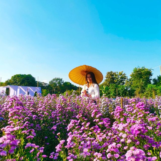 Flower Lovers. CNX | สวนดอกไม้เชียงใหม่​