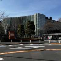 【東京】都会の中に現れる自然と美しい建築