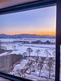 강릉 대형 신상카페 ☕️
