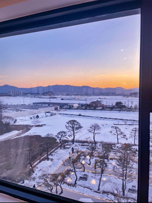 강릉 대형 신상카페 ☕️