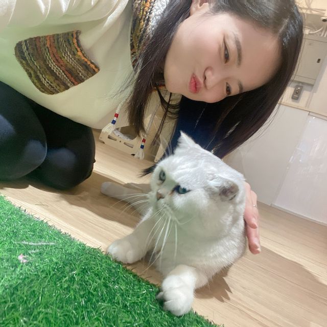 🐱喵喵喵 🐱我番來探主子啦！