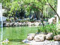 漫步人生 荃灣公園